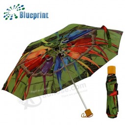 Fabbrica di ombrelli compatti personalizzati per uccelli