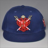 Navy 3D embroidery snapback hats for outdoor sports