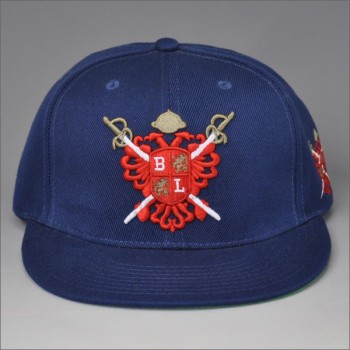Navy 3d embroidery snapback hoeden voor buitensporten