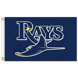 MLB Tampa Bay Rays 3'x5' polyester flags Logo