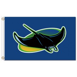 MLB Tampa Bay Rays 3'x5' polyester flags light rays
