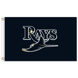 MLB Tampa Bay Rays 3'x5' polyester flags
