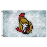 NHL Ottawa Senators 3'x5' polyester flags ice background with your logo