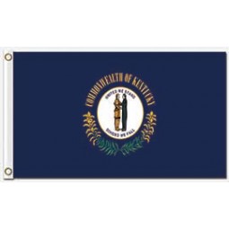 Großhandelsgewohnheitszustand, Gebiet und Stadt kennzeichnet Kentucky 3'x5 Polyesterflaggen