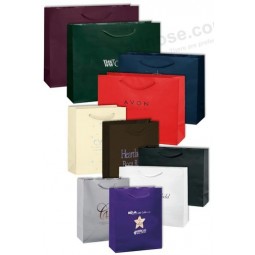 Various Colourful Eco-Friendly Paper Shopping Bags (YY--B0033)with your logo