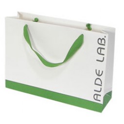 High Quality Elegant Custom Paper Bag (YY--B0035)with your logo