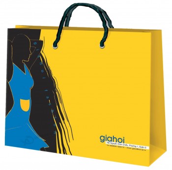 High Quality Unite Design Paper Bag Packaging (YY--B0041)with your logo