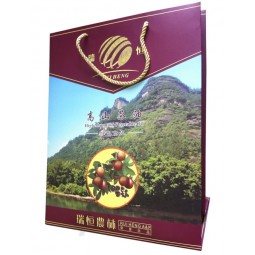Wholesale Paper Bag / Paper Gift Bag (YY--B0321) with your logo