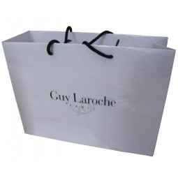 Luxury Laminationed Gift Bags, Shopping Paper Bags (YY-B109)with your logo