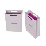 Custom cheap Luxury Paper Bag with Custom Logo & Design (YY-B008)