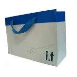 Wholesale custom your logo for High Quality Blue and White Colour Paper Shopping Bag (YY-B0170)