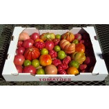 Custom Logo Corrugated Fruit Carton Box Corrugated Carton