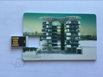 전체 컬러 인쇄 로고와 함께 wafter 카드의 USB 디스크
