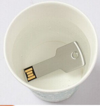 방수의 USB 플래시 드라이브 8 기가 바이트 펜 드라이브에 대한 로고와 함께 사용자 정의 (Tf-0393)