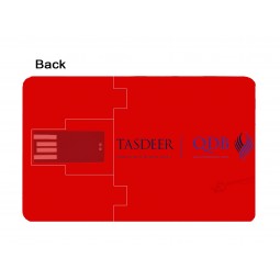 Custom with your logo for Best Business Promotional USB Card 1GB 2GB 4GB 8GB (TF-0423)