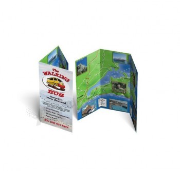 Letterhead Paper Printing/Photo Paper/Oxroy Paper