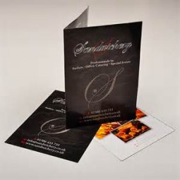 Brochure/Tri-Folding Promotion Page/Leaflet Folding