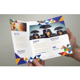 Cheap Flyer Printing in China Brochure/Tri-Folding Promotion Page