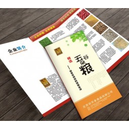 Hot Color Printing Brochure Flyer Printing Leaflet Printing&Booklet