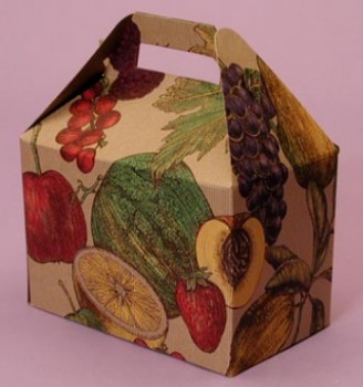 定制高-优质印花水果纸礼品盒带手柄 (PB-088)