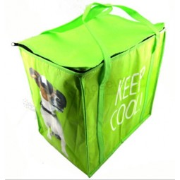 Wholesale custom high-end Green Thermal Insulation Clothing Bag (PA-027)