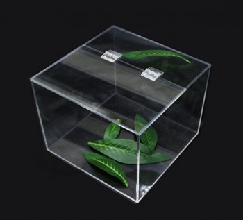 定制高-结束透明丙烯酸茶展示盒