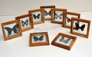 卸売カスタム高-蝶の標本のための簡単な木製の写真フレーム