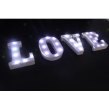 Painted Shells Housings LED Light Bulb Letters Logo Sign