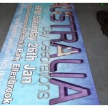 GroßForMatige BenutzerDeFinierte VinyL.-Banner/BannerDruckService/GraFikDruck