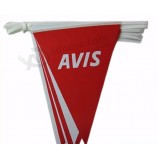 Wholesale Custom Bunting, Pennants Bunting, Triangle Bunting, PE Bunting with your logo