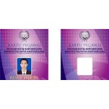 Wholesale custom free sample manufactory price voter id card format sample company staff employee id cards