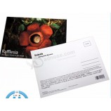 IMpreSsion de carte postaLe faite sur coMMande beLLe et en gros, carte postaLe iMpriMée sensibLe
