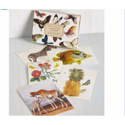Wholesale custom colorful postcard book printing