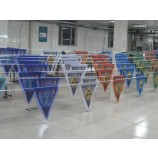 Pennant Flag/Triangle Flag/String Flag/Bunting Flying Flag with your logo