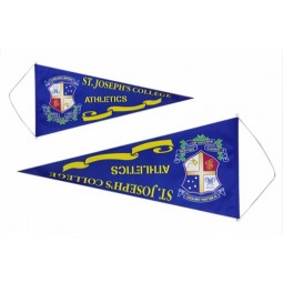 Portable Triangle Pennants/Bannerettes/String Flag with your logo