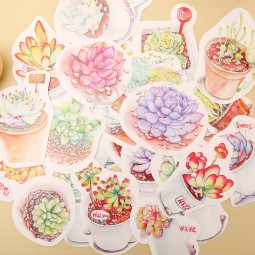 30 шт/много сочные растения открытки открытки поздравительную открытку карты рождения творческие подарочные карты