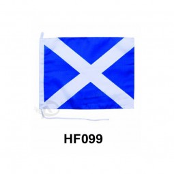 定制便宜的hf099涤纶手旗.