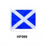 Bandiera a mano poliestere hf099 a buon mercato personalizzata.