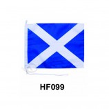 Personnalisé pas cher hf099 polyester main drapeau.