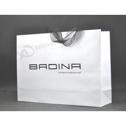 Reusable Printed Rope Handle Paper Gift Bags for Shopping