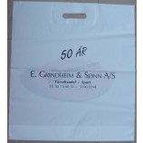 의류 용 인쇄 된 주머니 구멍 비닐 봉지 (Fld-8516)