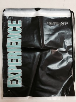 2017 来自登山的新塑料背包袋 (FLS-8221)