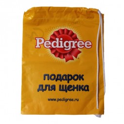 Promotional Backpack Polybags for Shopping