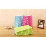 High Quality Kraft Paper Gift Bag, Shopping Bag for Promotion