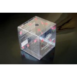 Customized high quality Clear PVC Gift Box