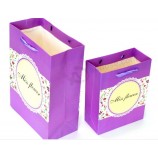 Multi-Color Set 0f 2 Paper Shopping Bags for Lady with high quality