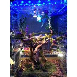 Acrylic Reptile House Comes with LED Light Wholesale