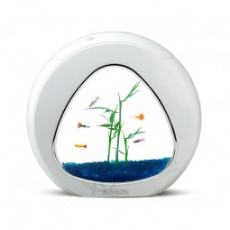 Mini Eco Creative Acrylic Goldfish Desk Acrylic Aquarium Fish Tank Wholesale