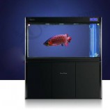 Customized Fashion Large Acrylic Eco Fish Tank Wholesale