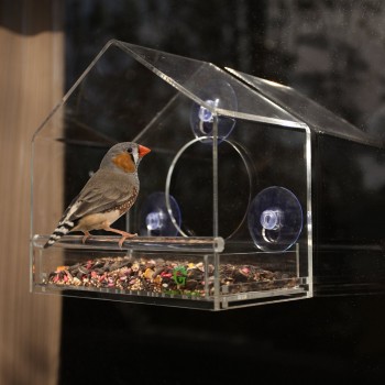 明确的丙烯酸野生鸟喂食器窗口饲养鸟屋批发
